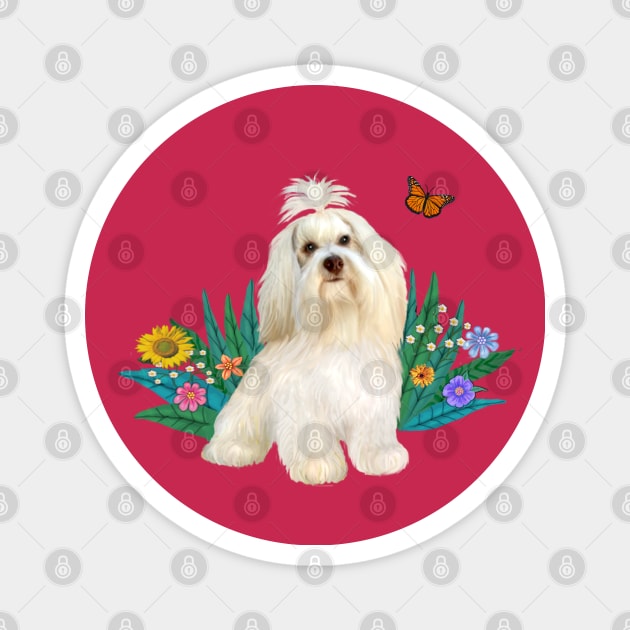 The Butterfly and the Havanese Magnet by Dogs Galore and More